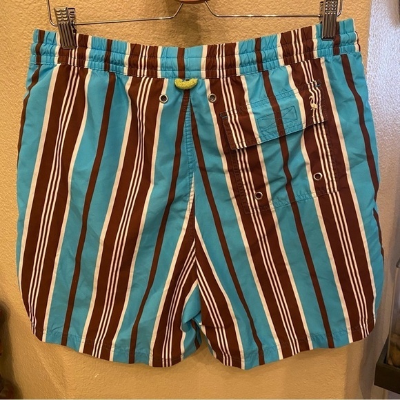 TAILORBYRD Men Blue Brown Striped Swim Trunk Shorts Size Medium - Picture 4 of 9